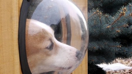 Nozoki Ana "Pet Peek Fence Window" to satisfy the curiosity of dogs
