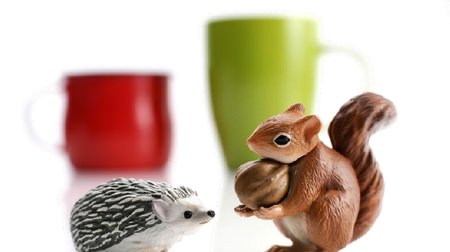 I want to decorate my desk! -Animal figure with a realistic expression "Ania Pet Series"
