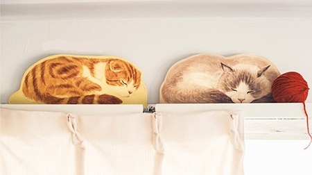 カーテンレールがネコまみれ！すやすや眠るネコたちのディスプレイ棚