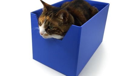 The ultimate cat bed? "Boxy Bed" -When I pursued a bed that cats would be happy with, I ended up with something that looked like a document stand.