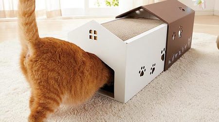 Can the cat get stuck in the kotatsu? -"Dokodemo Nyanko Tunnel" is on sale today!