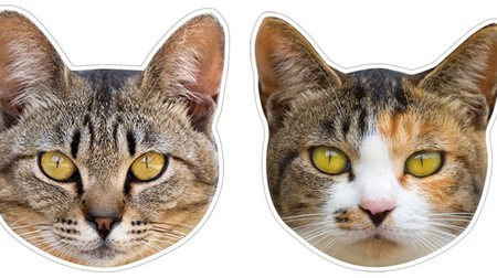 冷蔵庫にネコを貼ろう！―「猫の顔マグネット」シリーズに「キジトラ」「三毛ねこ その2」追加