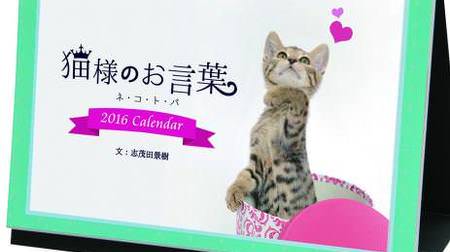 来年は子ネコと志茂田景樹氏に癒される！「猫様のお言葉 ネ・コ・ト・バ」が卓上カレンダーに