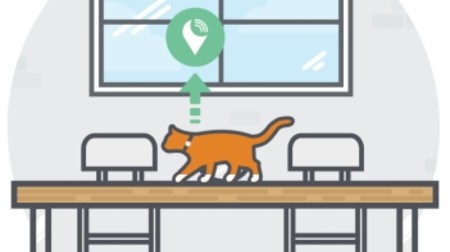 In which room is the cat hiding? "TrackR atlas" that tells you