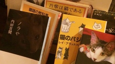Full of cat literature on the way home from work, "Cat Bundan Bar Barking at the Moon" opens