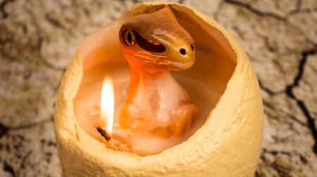 ラプトルの赤ちゃんがひょこっ！恐竜の卵みたいなキャンドル「Hatching Dinosaur Candle」