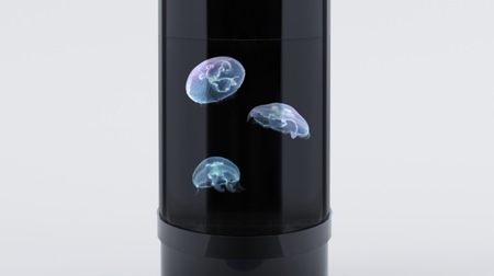 日曜の晩も、おウチのクラゲに餌あげて ― クラゲをもっと美しくディスプレイする「Jellyfish Cylinder Nano」
