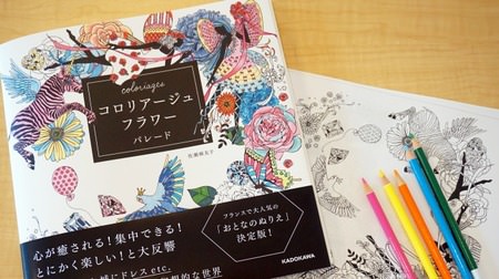 I want to start this year! Tips for "Coloring Book (Adult Coloring Book)" to Ask Professionals