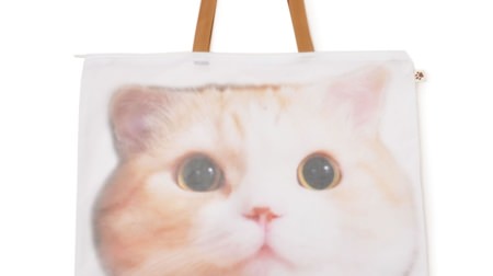 With a laundry pouch for the idol cat "Ryoma-kun, Fukuoka Prefecture"! -Cat club special campaign where you can buy "Nyanko Outing Item Special Set"