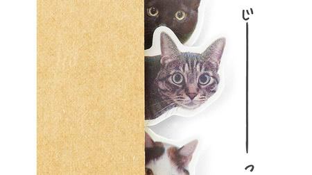 The cat looking into is cute! … “Cat sticky notes playing with notebooks” from Felicimo Cat Club