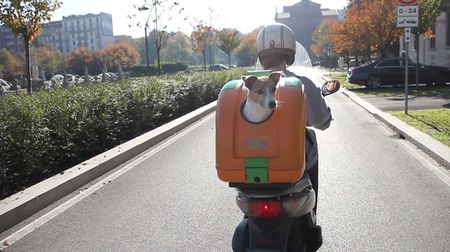 If you want to carry your dog by bicycle or motorcycle, this is it! "Pet On Wheels"