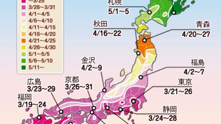 Can you enjoy this year's cherry blossoms for a long time? -Weathernews announces the 4th cherry blossom flowering forecast