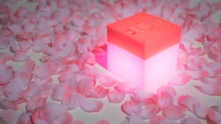 The LED cube "enevu CUBE" that adds color to cherry blossom viewing can be used even in the rain!