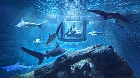 パリの水族館でサメに囲まれて眠る--「Airbnb」のスリル満点キャンペーン、4月4日まで応募受付中