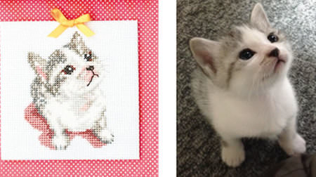 Why don't you draw a cat with cross stitch? -New design for a cross-stitch kit that can reproduce the facial expressions and fur of the eyes
