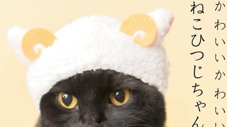 Your cat transforms into a fluffy sheep! The 4th Gacha Gacha Gacha for Cats