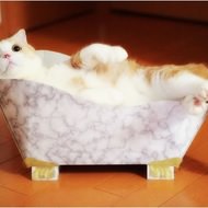 爪とぎがなければ、お風呂に入ればいいじゃない…“猫足”付きのバスタブ型ネコの爪とぎ