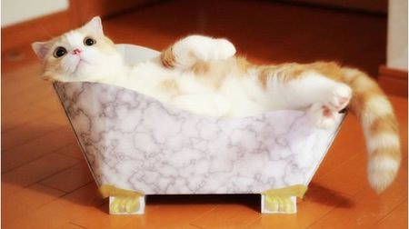 爪とぎがなければ、お風呂に入ればいいじゃない…“猫足”付きのバスタブ型ネコの爪とぎ