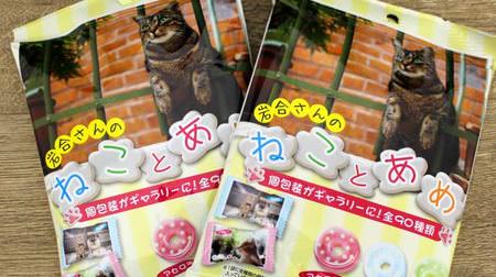 岩合光昭さんのネコ写真がパッケージ…パインアメの「ねことあめ」、6月21日販売開始