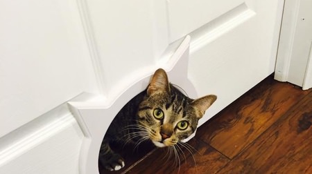 I'll bother you Nya- "Kitty Pass" that creates a cat doorway at the door