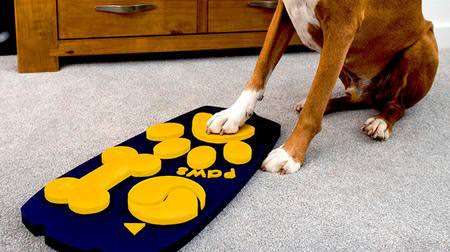 We are developing a TV remote control exclusively for dogs! -Ped food maker Wagg Foods releases prototype (?)