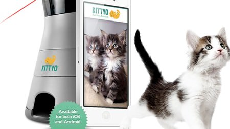 While working, I'm a cat! -Remote cat communicator "KITTYO" that you can play with cats wherever you are