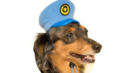 Your dog transforms into a "dog guardian" ♪ A headgear for dogs is now available
