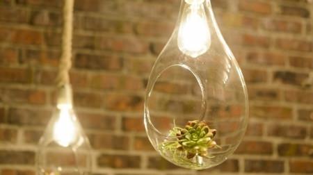 There are plants in the light bulb! … Botanical lighting interior “BOTANIC SERIES” will be released on October 1st!