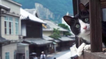 Take a walk in Hiroshima from a cat's perspective ♪ Cat Street View 2nd edition, Takehara edition released!