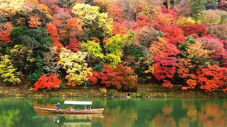 This year's autumn leaves, Irohazaka is in full bloom from around October 20th, Mt. Takao is in full bloom from around November 13th ... Weathernews releases a map of the best time to see the autumn leaves