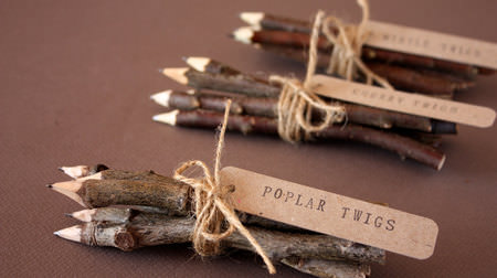 Pencils made from tree branches "Twig Pencils" ... Treasure the twigs of Tasmania?