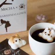 肉球マシュマロの「やわはだ」と「猫カフェMoCHA」がコラボ！…「Mochaマシュマロ」は、カフェの人気ネコがモチーフ