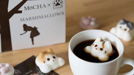 "Yawahada" and "Cat Cafe MoCHA" of meat ball marshmallows collaborate! … “Mocha Marshmallow” is a motif of a popular cafe cat