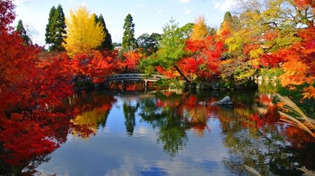 1st place is "Zenrinji Eikando", 2nd place is "Oirase Gorge"-Autumn leaves ranking 2016