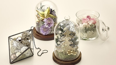 クリスマス向けテラリウムが日比谷花壇から--ナチュラル、ヴィンテージ、ロマンティック、モダンの4スタイル