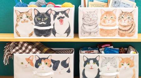 The shelves of my house are covered with cats ... "Catloaf sitting cat storage box", Felissimo YOU + MORE! from