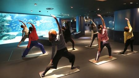 Would you like to do yoga in the aquarium at night? The event to be held at the Sunshine Aquarium after closing seems to be interesting