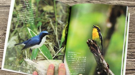 People feel at ease when they hear "birds singing"-The healing effect of the CD book supervised by the Wild Bird Society of Japan is amazing.