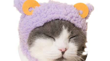 The headgear "Nekohitsuji-chan" that turns the cat into a "fluffy sheep" again! Relaxing color like room wear ♪