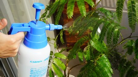 マンション住まい必携！葉水やベランダ掃除に便利な「加圧式全自動スプレー」