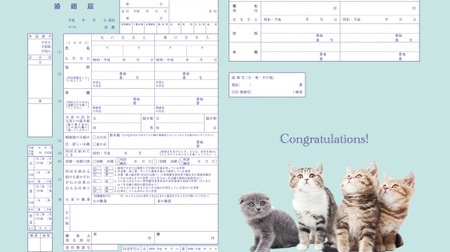 Supporting "Cat Day Enrollment" for cat-loving couples ♪ Free download of cat marriage registration