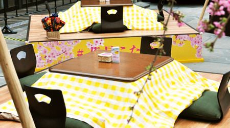 "Hanami Kotatsu" at Akasaka Sacas on weekends! Holding an event where you can anticipate spring with cherry blossoms and beer