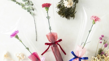 Enclose the carnation in a vacuum--from Francfranc Mother's Day Limited "Balloon Flower"