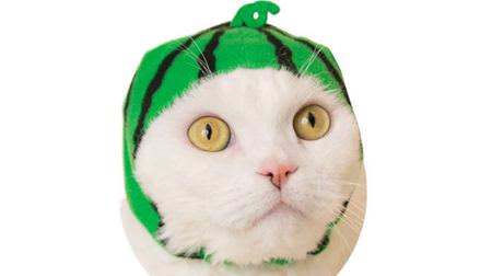 Nyanko's Fruit Basket ♪ A new work full of fruits in a "cat headgear" capsule