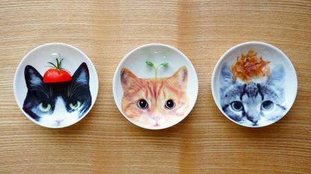 Let's go over here. It's fun to play various "cat photo bean dishes" of ceria that is too real