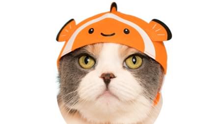 I want to be my favorite fish. Aquarium version from the "Cat Headwear" series