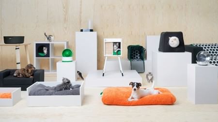 Scandinavian design for pets ♪ Pet items for dogs and cats at IKEA
