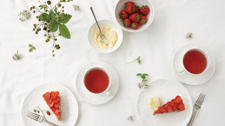 New to Wedgwood "Wild Strawberry White"-balls and plates that are always easy to use