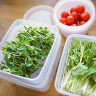 100均で買えるナカヤのザル付き保存容器が超便利！野菜の処理＆保存がスピーディーに