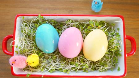 For Easter table ♪ How to make colorful boiled eggs--Recipes that you can eat as they are